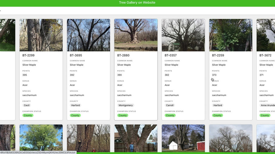 Advanced Gallery View